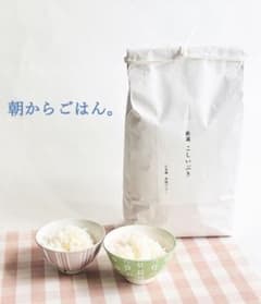 新潟米こしいぶき精白米5kg【数量限定】【受注後精米】朝からごはんのサムネイル