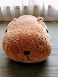 카피바라 씨 돈과 큰 봉제 인형