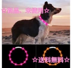 カスタード様専用【新品、未使用】犬 首輪 光る USB充電式 70cmのサムネイル