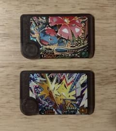ゆ*様 フシギバナ サンダー トレーディングカードセットのサムネイル