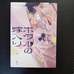 ホタルの嫁入り1のサムネイル