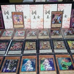 いわけんさん専用lowRISC4p美女5pのサムネイル