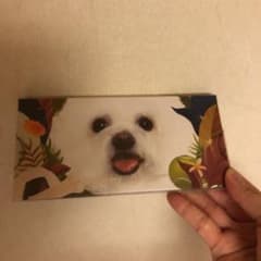 Perfect diaryのサムネイル