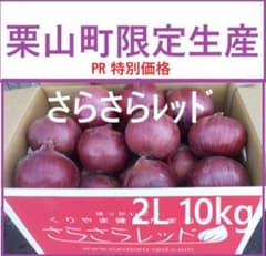 北海道産健康玉ねぎ『さらさらレッド』10kg 2Lサイズ103のサムネイル