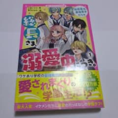 総長さま、溺愛中につき。 1 野いちごジュニア文庫のサムネイル