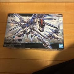 HG RISING FREEDOM GUNDAM