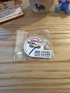 まとめ売り値引あり】大阪関西万博 中国パビリオンピンバッジ 山東省