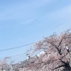 まらたん様専用のサムネイル
