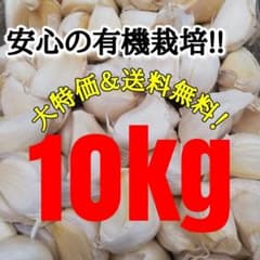送料無料】 2025年産 無農薬 バラニンニク 10kg ニンニク 10キロ