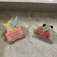 東京ディズニーリゾート ピンバッジ 2点セット ティンカーベル 40周年