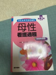 母性看護過程のサムネイル