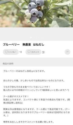 れいちゃんさん専用    ブルーベリーのサムネイル