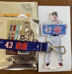 楽天イーグルス 宋家豪 MyHEROタオルアクリルスタンド＆お名前ボンフィンのサムネイル