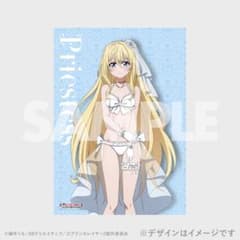 ゴブリンスレイヤー ラッフルくじ D賞 クリアポスター 女神官 - メルカリ