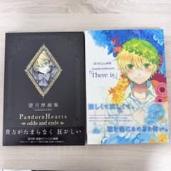 PandoraHearts パンドラハーツ 望月淳 画集 2冊セット 美品 - メルカリ