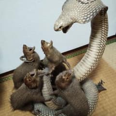 マングースとコブラの置物 マングースとコブラの置物 - メルカリ