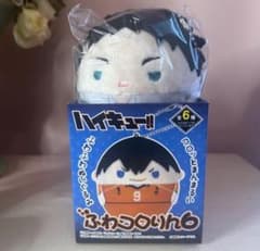 ハイキュー　ふわコロリン　赤葦のサムネイル