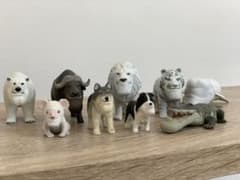 シャクレルプラネットのサムネイル