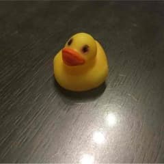 アヒルのサムネイル