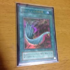 ハーピィの羽根箒のサムネイル