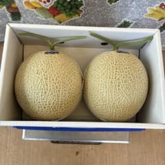 高級 高知温室メロン 2玉入り箱込み5.7キロ16 - メルカリ
