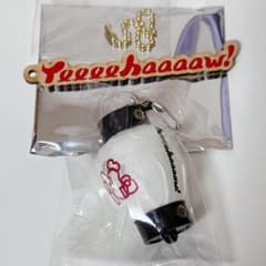 【2点セット】森山直太朗 Yeeeehaaaaw!くじ キーホルダー＆提灯のサムネイル