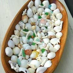 貝殻☆珊瑚☆シーグラスセット　ミニサイズのサムネイル