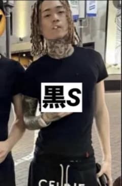 値下げPolo Ralph Lauren スリムフィットTシャツ S 新品未使用のサムネイル