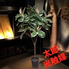 光触媒 人工観葉植物 ウォールグリーン フェイクグリーン 斑入りゴムの
