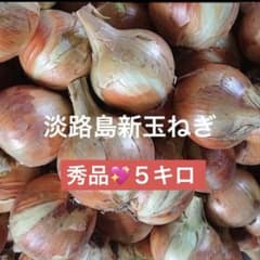 淡路島新玉ねぎ★新玉ねぎ最後の人気品種★ターザン５キロ★秋まで日持ち★リピ多数のサムネイル