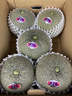 入荷しました！幻のメロン　ナイルメロン　2Lサイズ　5玉2箱　送料込み 入荷しました！幻のメロン ナイルメロン 2Lサイズ 5玉 送料込み - メルカリ