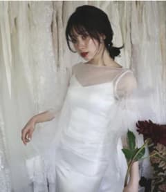 ドレスプロダクション フリルスリーブ トップス（W308） DRESS PRODUCTION フリルスリーブ トップス（W308） - メルカリ