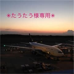 たうたう様専用     ミントブリーズのダウンコートのサムネイル
