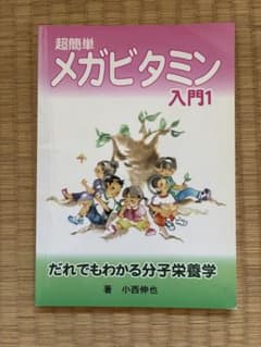 超簡単　メガビタミン入門１のサムネイル