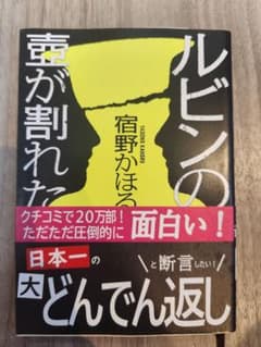 ルビンの壺が割れた 宿野かほるのサムネイル