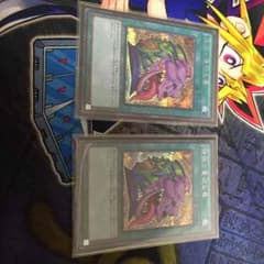 強欲で貪欲な壺シク2枚のサムネイル