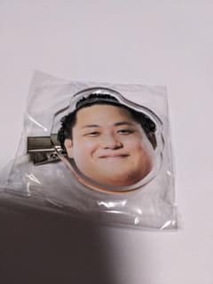 翠富士　大相撲ガチャ顔型ヘアピンのサムネイル