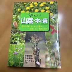 旬を見つける 山菜・木の実のサムネイル