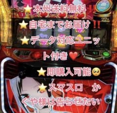 バイブスイッチ、データ対応【本州送料込み】スマスロ 実機 かぐや様は