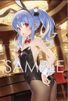 C105 はぐれママ ホロライブ 兎田ぺこら B2タペストリー m57092830802_1.jpg?1779007437