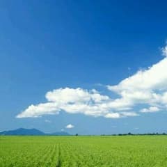 せる様専用のサムネイル