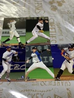プロ野球チップスカード 2021のサムネイル