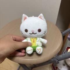 SEVENTEEN JEONGHAN ぬいぐるみ マスコットのサムネイル
