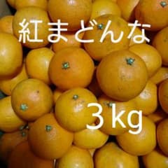 愛媛県産 紅まどんな３kg(ご家庭用)のサムネイル