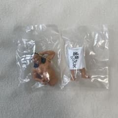 体格ブラザーズ マスコット ガチャ 秋山のサムネイル