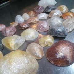 希少　価値　キラキラ　ツヤツヤ　天然　ナミマガシワ　二枚貝　貝殻　シェルのサムネイル