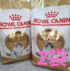 ロイヤルカナン ノルウェージャンフォレストキャット 2kg ×2袋 - メルカリ