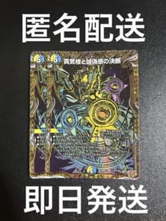 匿名配送 即日発送 真気楼と誠偽感の決断 シク シークレット 2枚セット