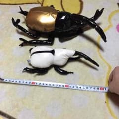 カブトムシぬいぐるみセットのサムネイル
