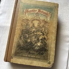 1867年 植物図鑑 ボタニカル アート ドイツ アンティーク - メルカリ
